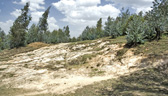 Environment Project